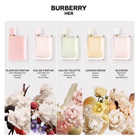 burberry her elixir dm|burberry her perfume for women.